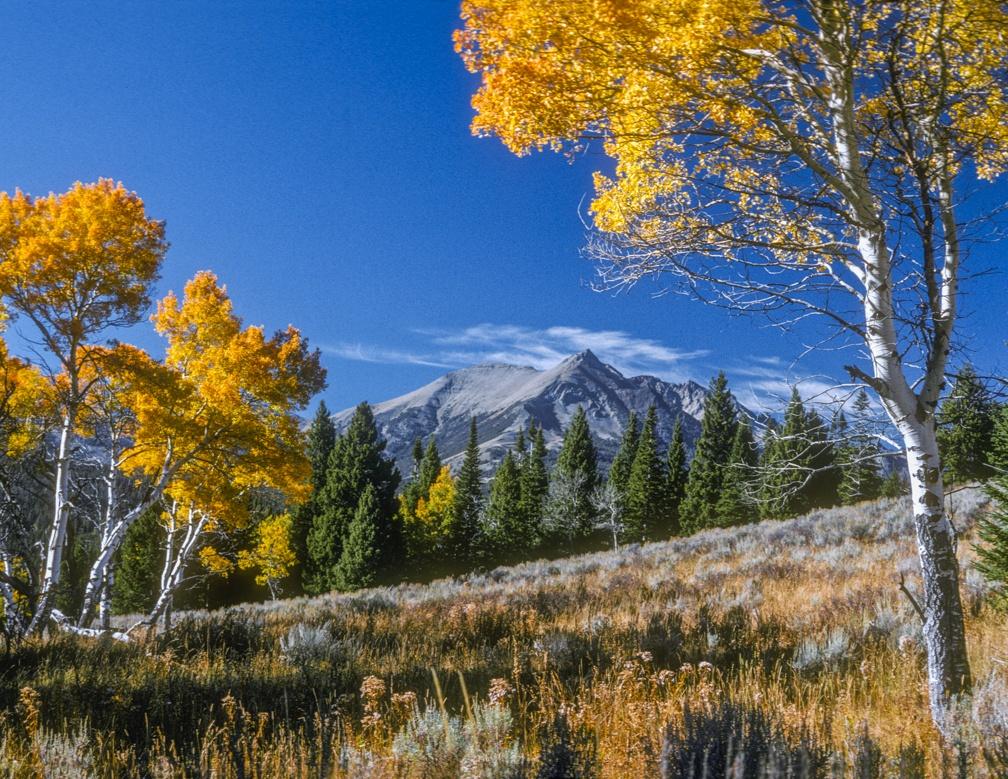 Yellowstone in Four Seasons